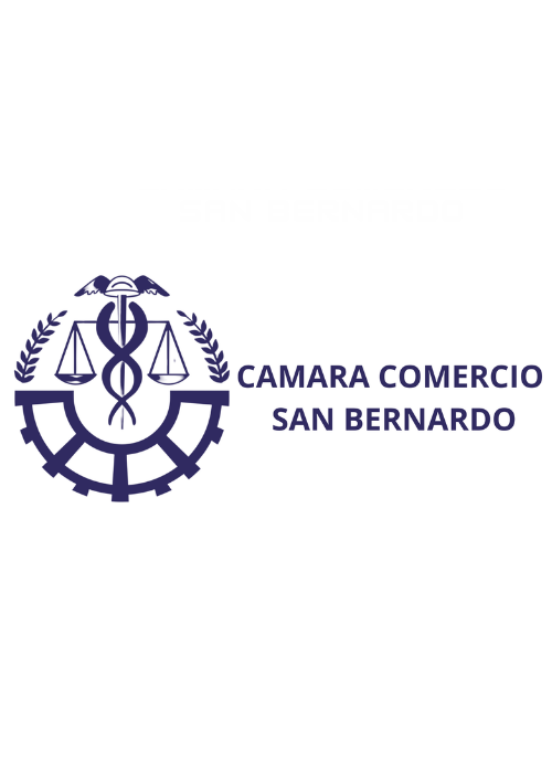 COMERCIO Y SEGURIDAD EN SAN BERNARDO 2026